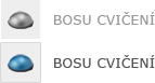 Bosu cvičení
