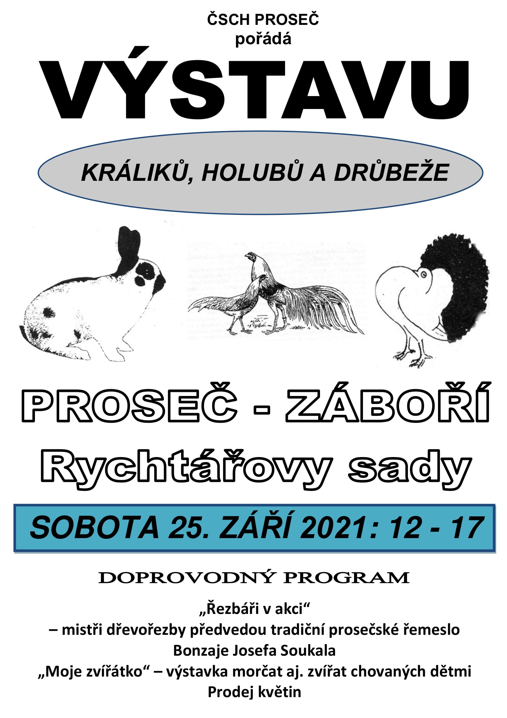 Výstava