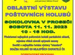 výstava
