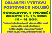 výstava